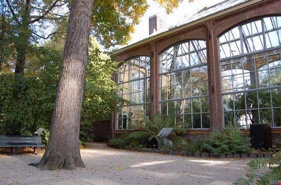 L' Hortus Botanicus  Amsterdam alessandro bianchi alessandro bianchi