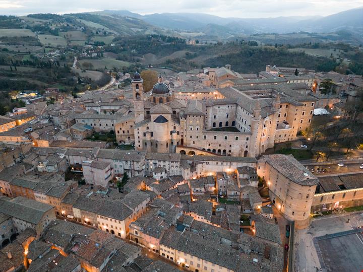 Urbino-loquis