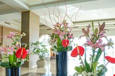 Nel blu di Hadaba: Sunrise Montemare Resort