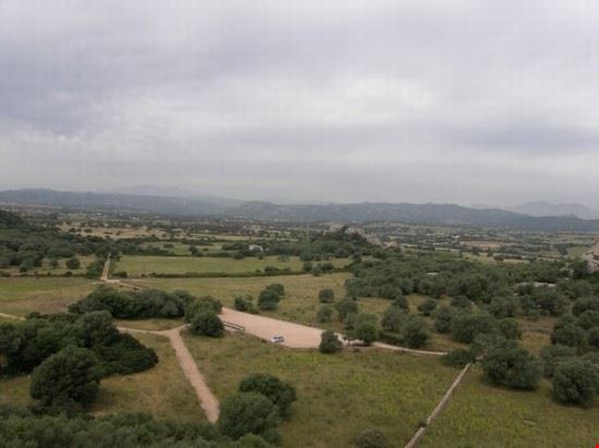 Il Castello di Pedres Un po' di campagna Gallurese Carla Cristina Loddo Carla Cristina Loddo