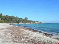 la spiaggia
