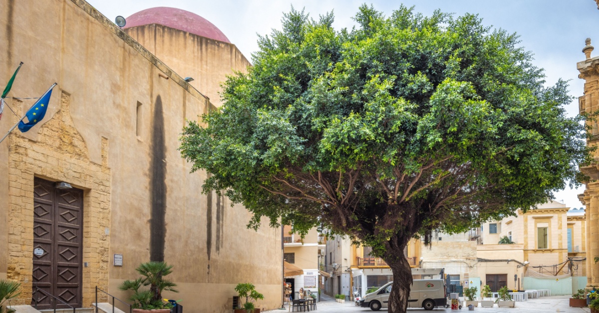 Mazara del Vallo (1)