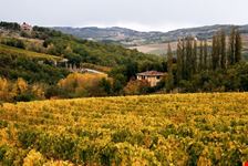 chianti