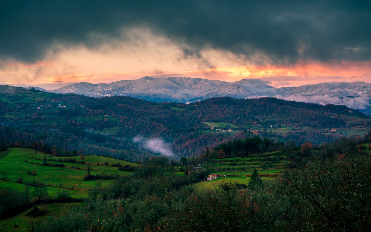 shutterstock_1885677829