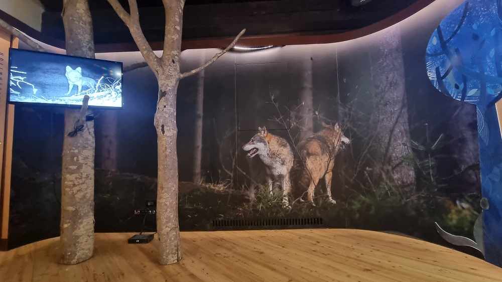 Alla scoperta del Parco Nazionale delle Foreste Casentinesi nell’appennino tosco-romagnolo: un viaggio come una volta tra natura, tradizione e ospitalità autentica