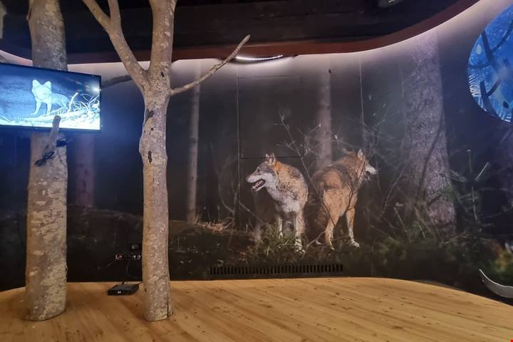 Alla scoperta del Parco Nazionale delle Foreste Casentinesi nell’appennino tosco-romagnolo: un viaggio come una volta tra natura, tradizione e ospitalità autentica