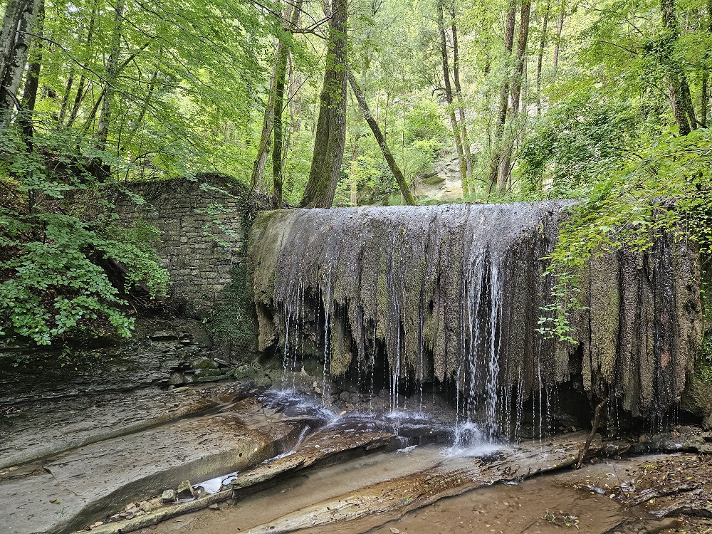 Parco Nazionale delle Foreste Casentinesi: uno sguardo diverso sul turismo come salvaguardia ambientale