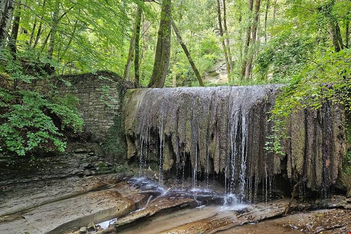Parco Nazionale delle Foreste Casentinesi: uno sguardo diverso sul turismo come salvaguardia ambientale