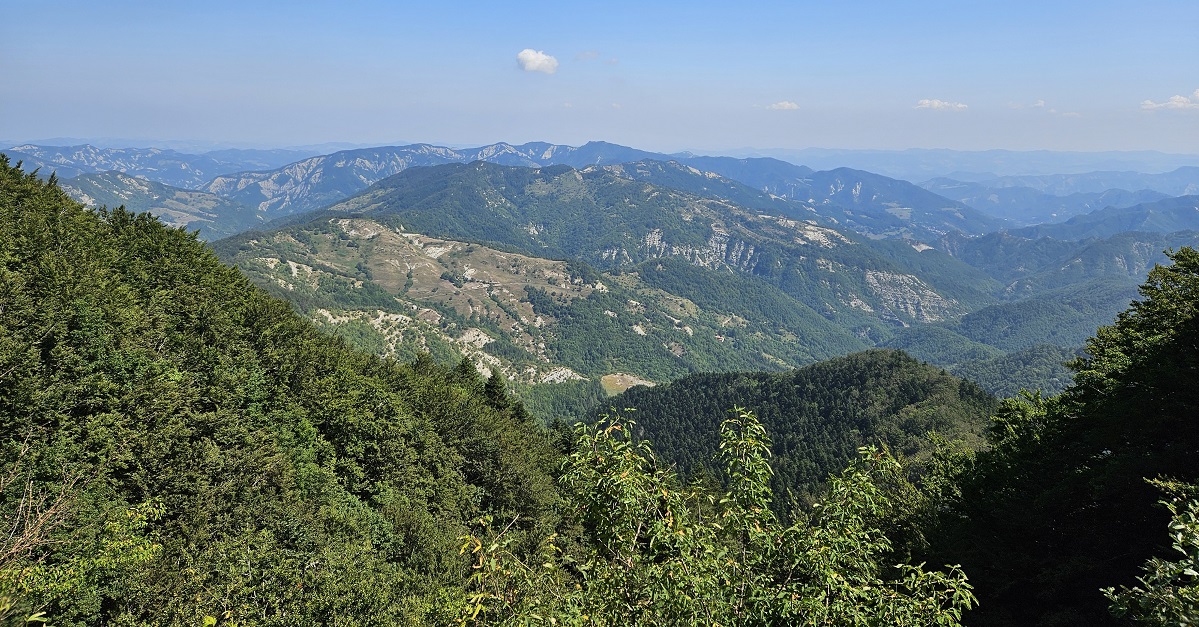 Parco Nazionale delle Foreste Casentinesi: uno sguardo diverso sul turismo come salvaguardia ambientale