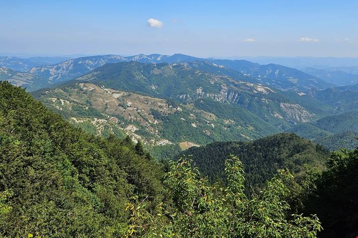 Parco Nazionale delle Foreste Casentinesi: uno sguardo diverso sul turismo come salvaguardia ambientale