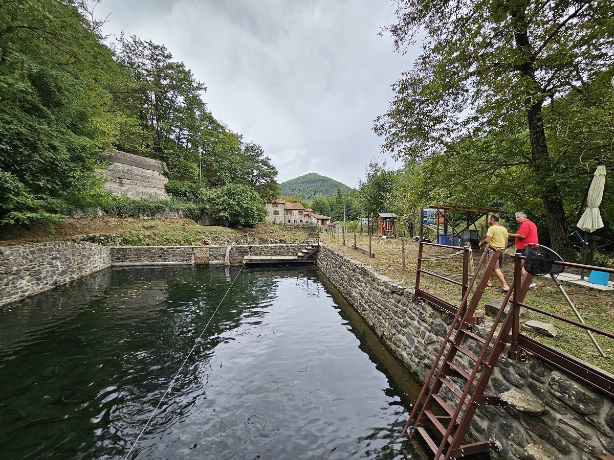 Parco Nazionale delle Foreste Casentinesi: uno sguardo diverso sul turismo come salvaguardia ambientale
