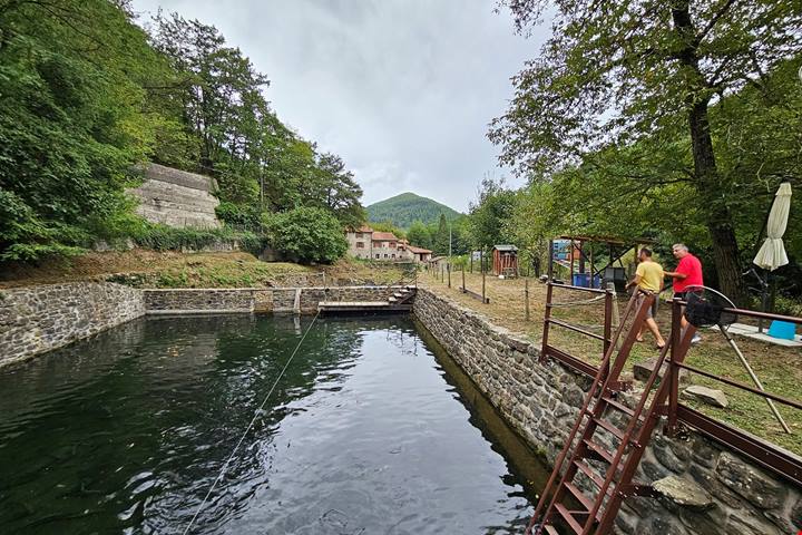 Parco Nazionale delle Foreste Casentinesi: uno sguardo diverso sul turismo come salvaguardia ambientale