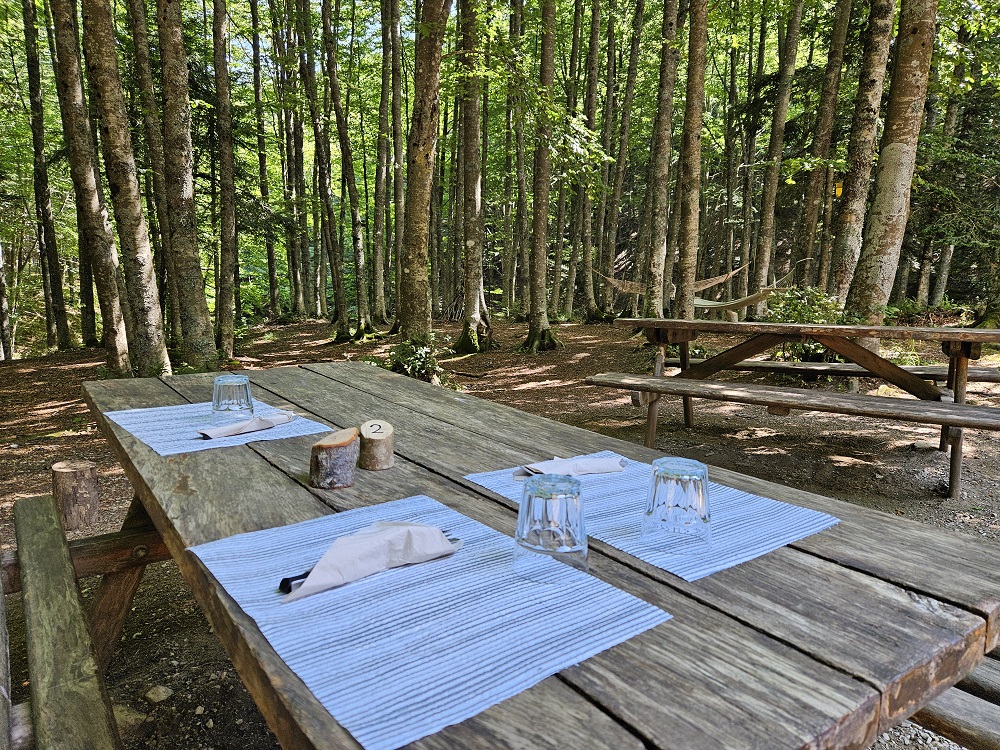Parco Nazionale delle Foreste Casentinesi: uno sguardo diverso sul turismo come salvaguardia ambientale