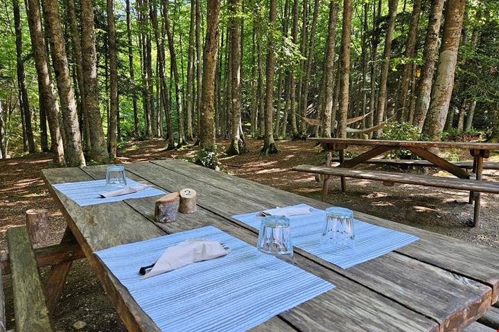 Parco Nazionale delle Foreste Casentinesi: uno sguardo diverso sul turismo come salvaguardia ambientale