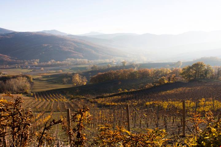 Si raffredda il sole ma si scaldano le foglie: ecco 3 luoghi dove si può ammirare lo spettacolo del foliage in Italia in una gita fuori porta