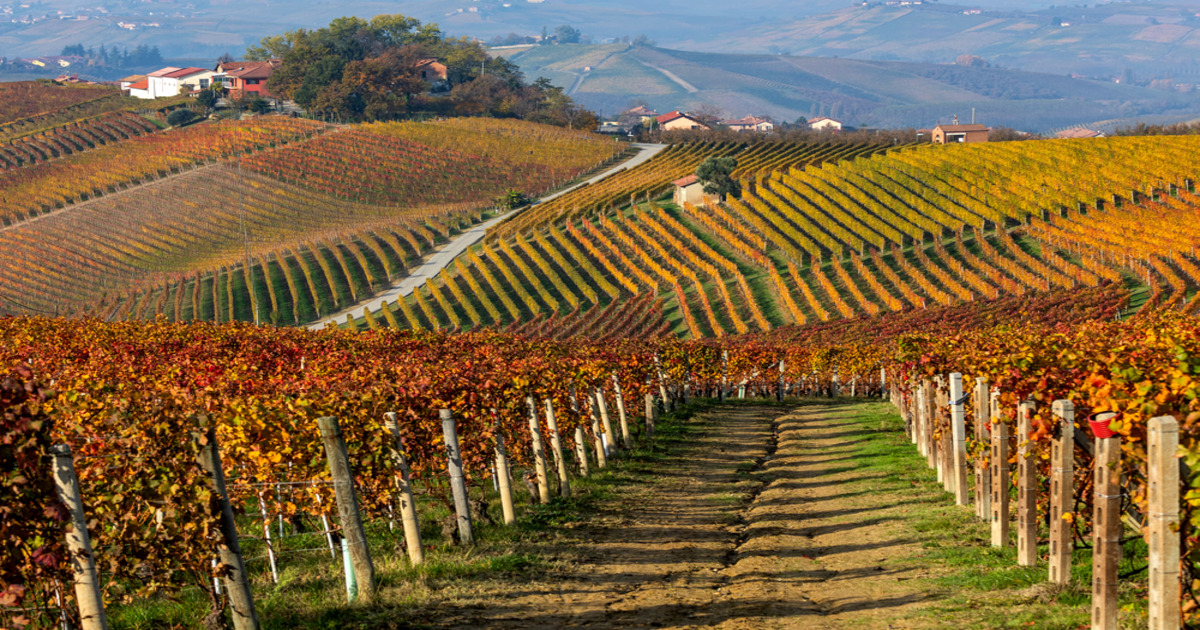Si raffredda il sole ma si scaldano le foglie: ecco 3 luoghi dove si può ammirare lo spettacolo del foliage in Italia in una gita fuori porta