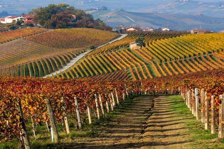 Si raffredda il sole ma si scaldano le foglie: ecco 3 luoghi dove si può ammirare lo spettacolo del foliage in Italia in una gita fuori porta