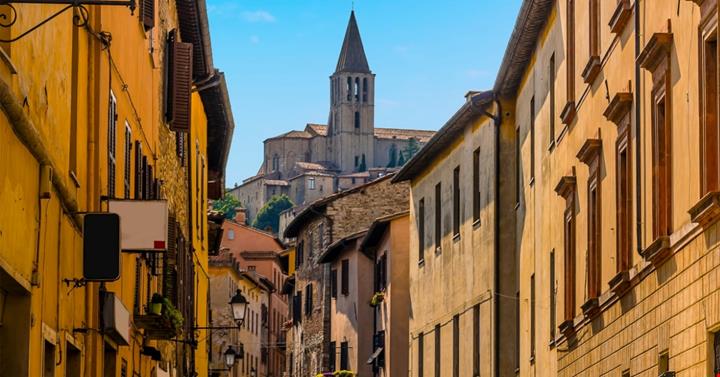 TOdi