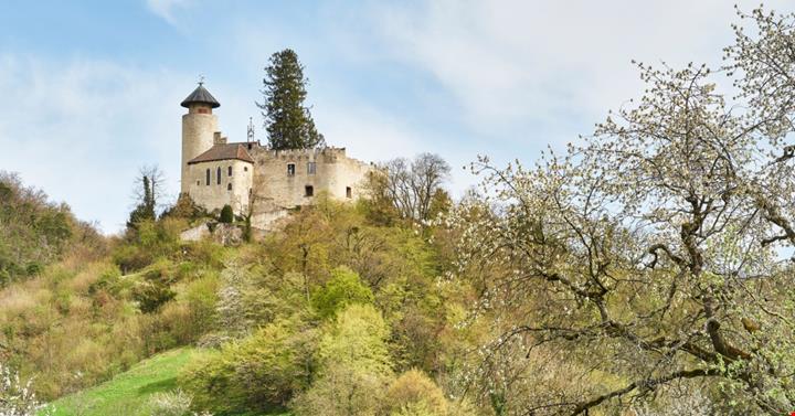 Arlesheim