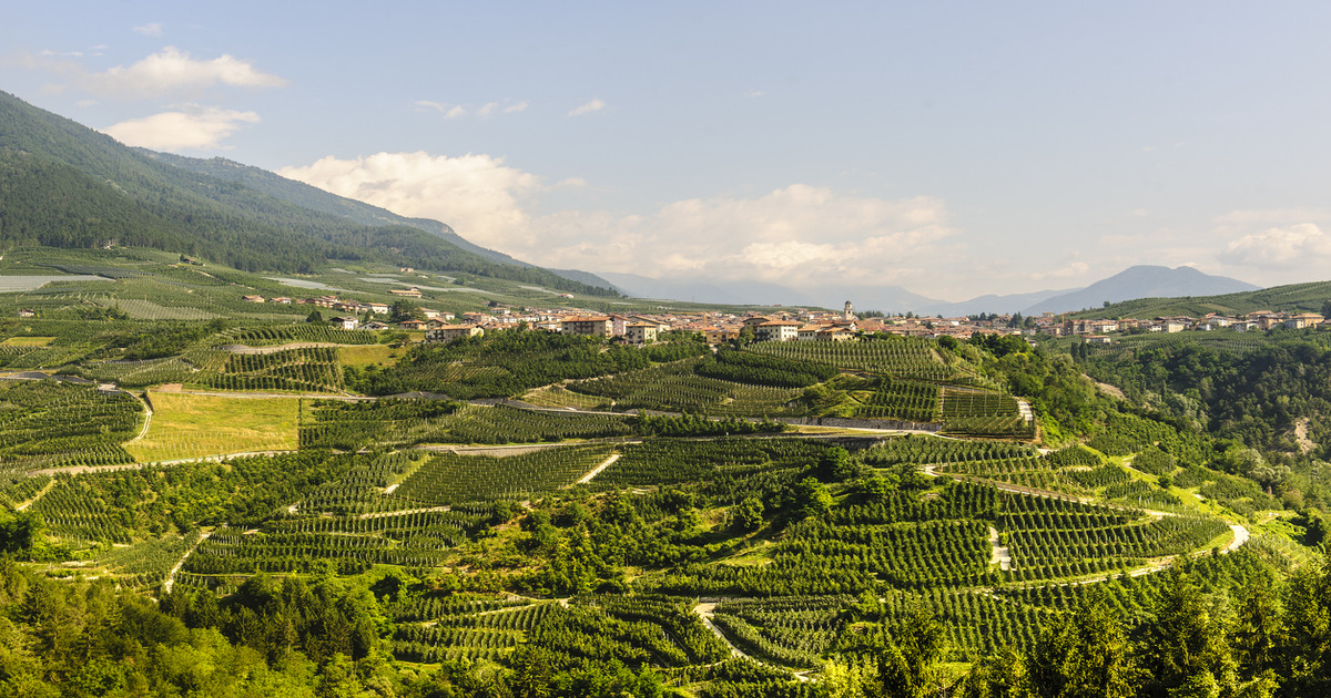 Nel bel mezzo della Val di Non c'è una delle antiche fortezze più affascinanti di tutto il Trentino Alto Adige