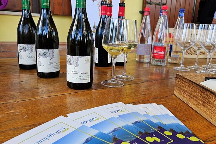 Discesa in un cratere green: 230 ettari di boschi con inversione vegetazionale: un bagno di foresta allietato dai vini dei Campi Flegrei