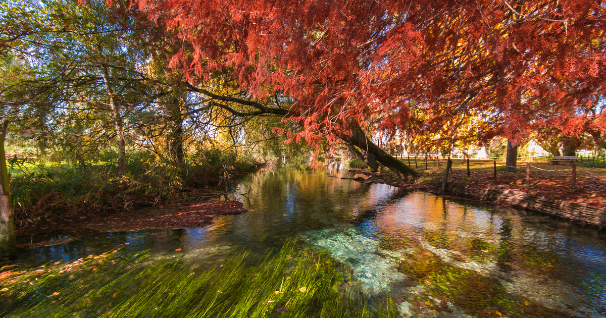 Inizia la stagione color oro: ecco 3 magiche località in Umbria dove poter ammirare lo spettacolo del foliage