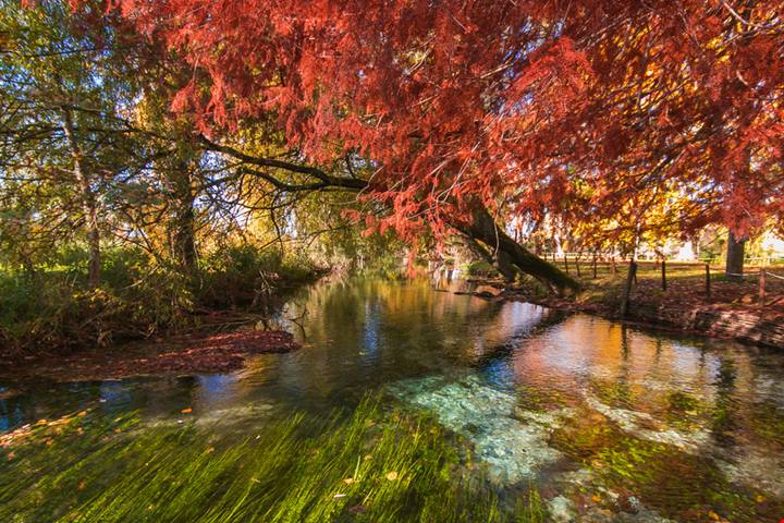 Inizia la stagione color oro: ecco 3 magiche località in Umbria dove poter ammirare lo spettacolo del foliage