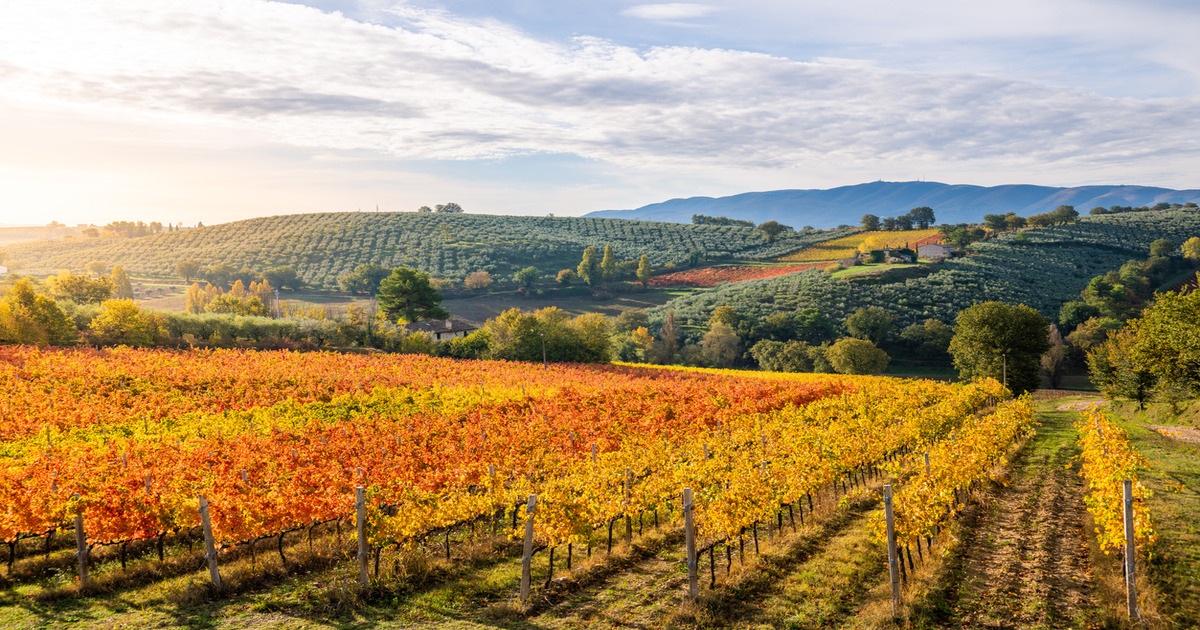 Inizia la stagione color oro: ecco 3 magiche località in Umbria dove poter ammirare lo spettacolo del foliage