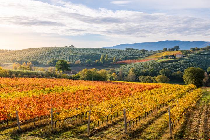 Inizia la stagione color oro: ecco 3 magiche località in Umbria dove poter ammirare lo spettacolo del foliage