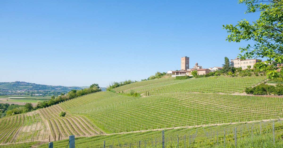 Belle d'estate, meravigliose d'autunno: ecco 3 località da visitare assolutamente nelle Langhe ad Ottobre 