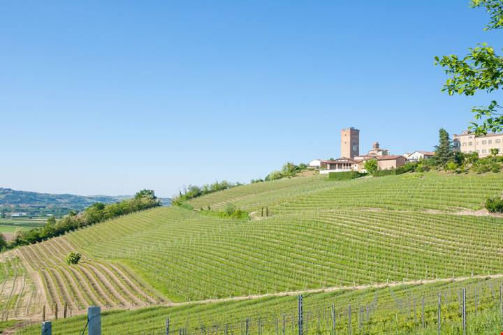 Belle d'estate, meravigliose d'autunno: ecco 3 località da visitare assolutamente nelle Langhe ad Ottobre