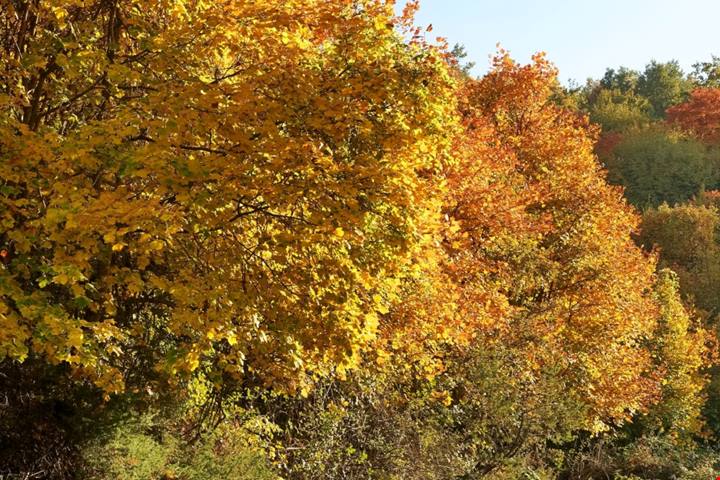 Su una montagna a diversi km da Roma è adagiato il caratteristico borgo delle ginestre: la sua è una storia davvero millenaria | PaesiOnLine