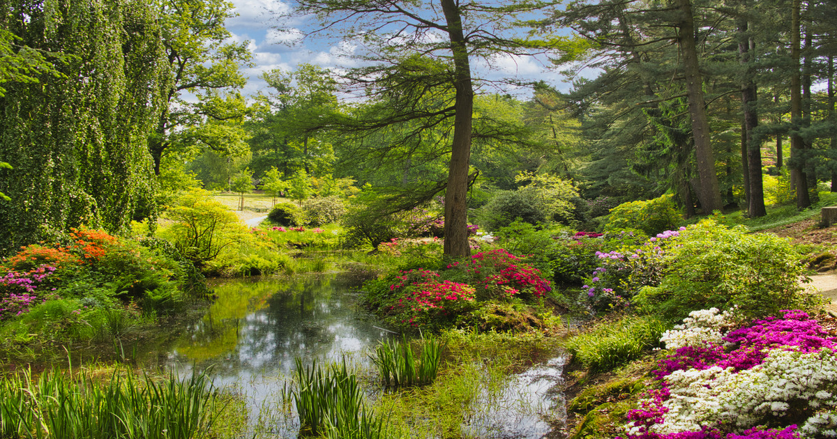 Nel parco delle azalee e dei rododendri c'è il ponte del Diavolo più affascinante di tutta la Germania: è immerso in una location spettacolare