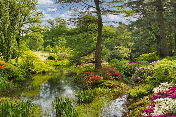 Nel parco delle azalee e dei rododendri c'è il ponte del Diavolo più affascinante di tutta la Germania: è immerso in una location spettacolare