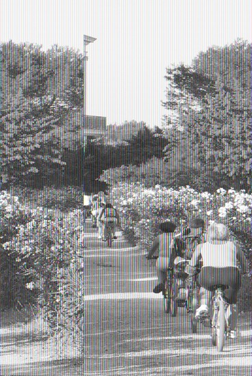 Giardini segreti