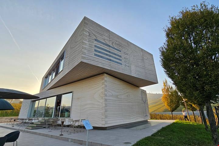 Sulla Strada del Barolo: tra vigne, cantine storiche e design contemporaneo, un viaggio autunnale tra le eccellenze delle Langhe