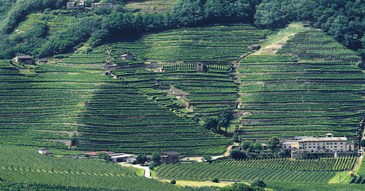 In Valtellina c'è una meravigliosa via terrazzata che ti permetterà di godere dei uno dei più colorati spettacoli di foliage