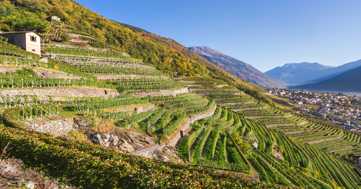 In Valtellina c'è una meravigliosa via terrazzata che ti permetterà di godere dei uno dei più colorati spettacoli di foliage