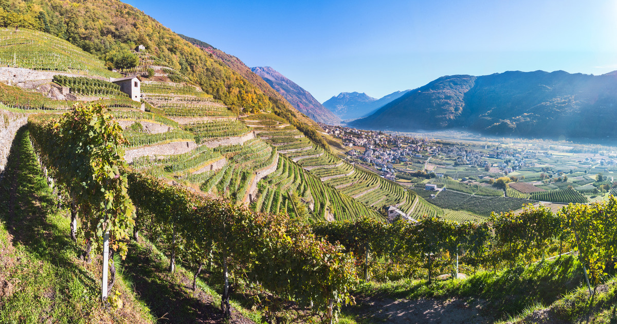 In Valtellina c'è una meravigliosa via terrazzata che ti permetterà di godere dei uno dei più colorati spettacoli di foliage
