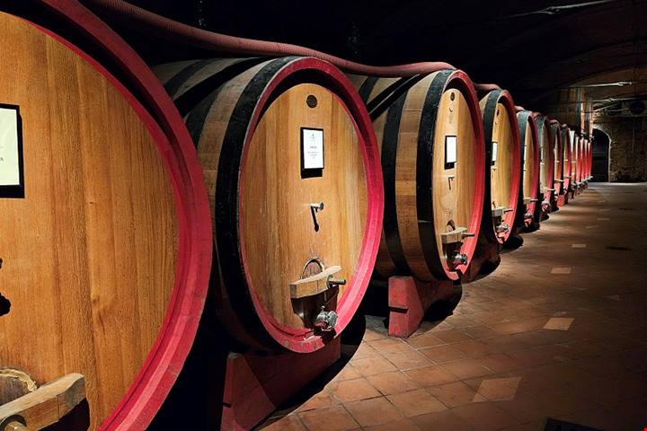 Nelle Langhe Monferrato Roero con un treno speciale, un weekend di scoperte e sapori autunnali tra Alba e Asti, le migliori cantine della Strada del Barolo sempre più destinazione Wedding di lusso