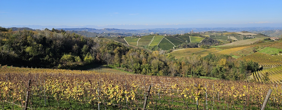 Nelle Langhe Monferrato Roero con un treno speciale, un weekend di scoperte e sapori autunnali tra Alba e Asti, le migliori cantine della Strada del Barolo sempre più destinazione Wedding di lusso