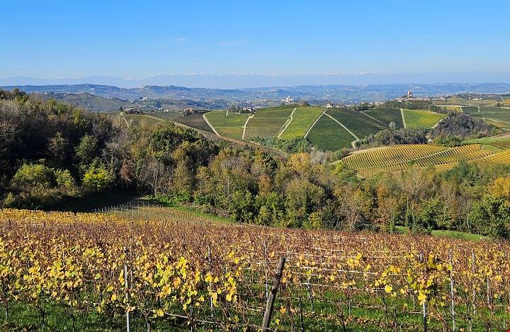 Nelle Langhe Monferrato Roero con un treno speciale, un weekend di scoperte e sapori autunnali tra Alba e Asti, le migliori cantine della Strada del Barolo sempre più destinazione Wedding di lusso