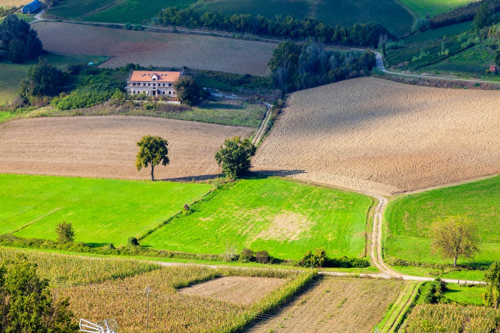 langhe-loazzolo