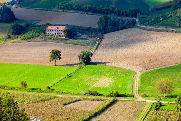 langhe-loazzolo