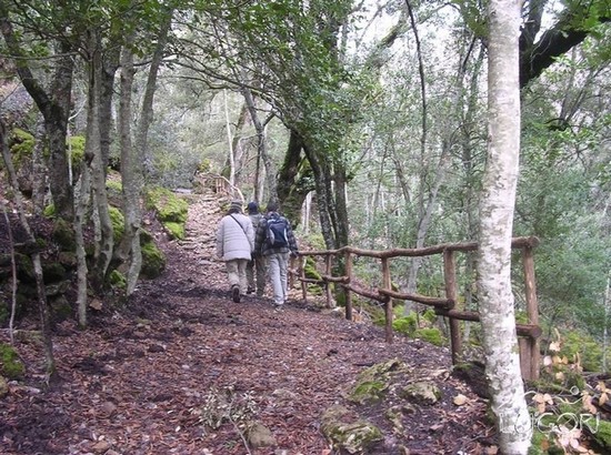 Trekking base
