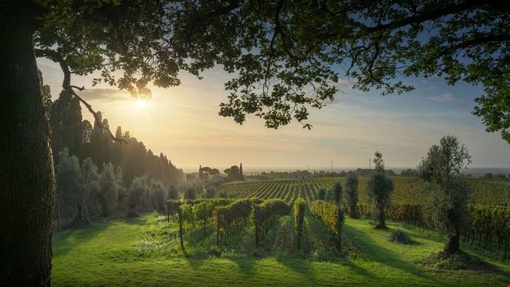 italia_2514473399