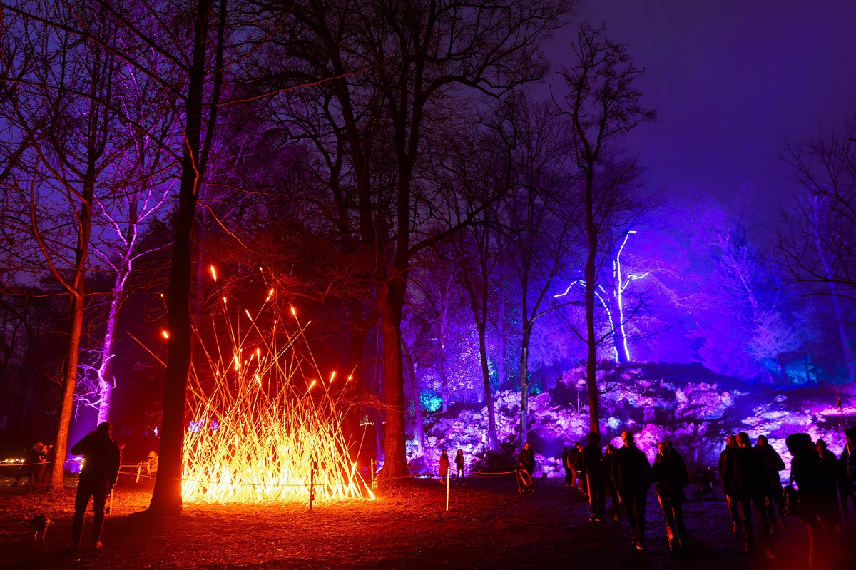 Trame di luce: all’Orto Botanico di Roma una nuova edizione della mostra sensoriale immersiva di light art con un percorso ricco di novità