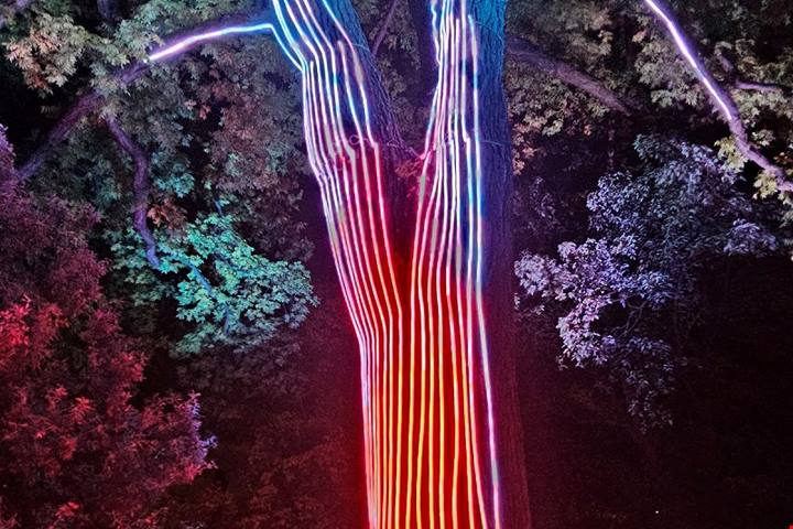 Trame di luce: all’Orto Botanico di Roma una nuova edizione della mostra sensoriale immersiva di light art con un percorso ricco di novità
