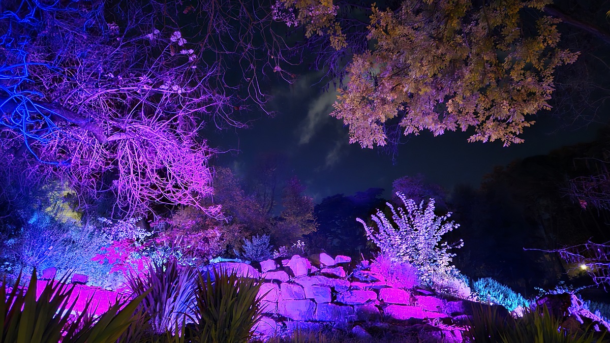 Trame di luce: all’Orto Botanico di Roma una nuova edizione della mostra sensoriale immersiva di light art con un percorso ricco di novità