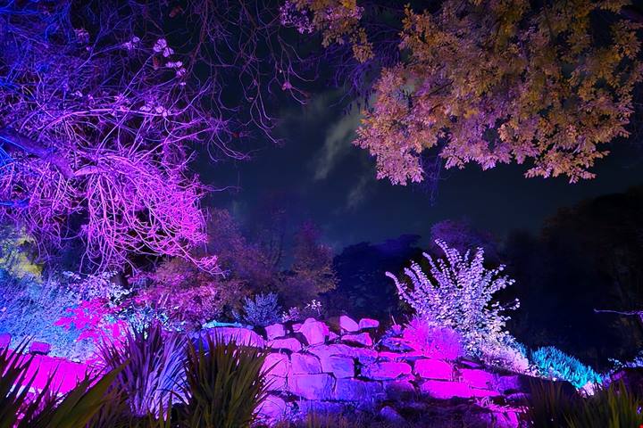 Trame di luce: all’Orto Botanico di Roma una nuova edizione della mostra sensoriale immersiva di light art con un percorso ricco di novità